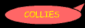 collhyphst.gif (1736 bytes)