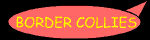 collieshyper.gif (1225 bytes)