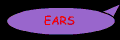 earsstd.gif (1589 bytes)