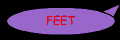 feetstd.gif (1514 bytes)