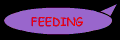 freedingbc.gif (1858 bytes)