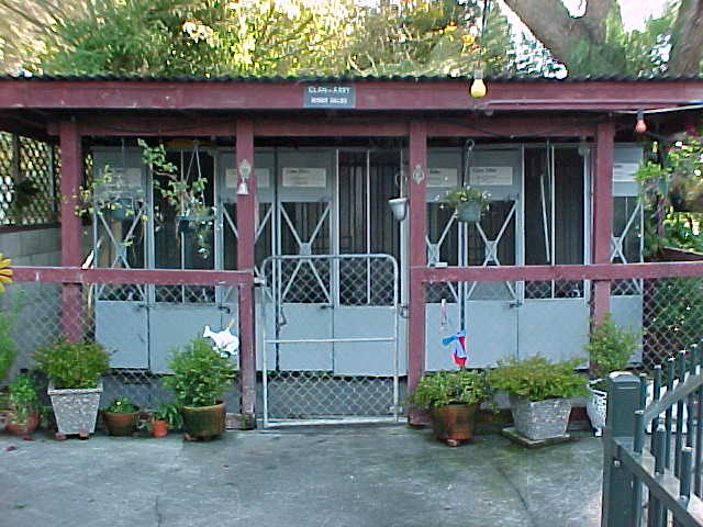 history.jpg (55429 bytes)