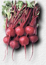 beets