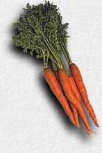 carrots