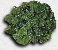 spinach