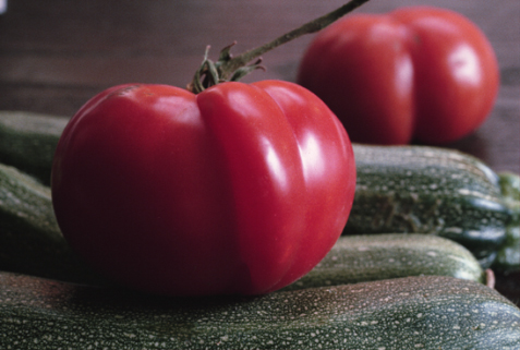 Tomatoes