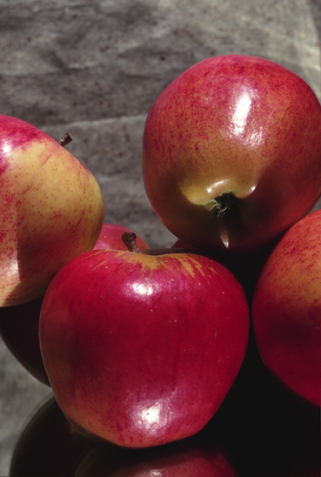 Apples