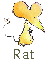 Rat