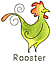 Rooster