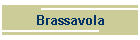 Brassavola
