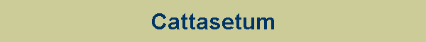 Cattasetum