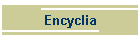 Encyclia