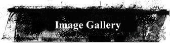 Image Gallery