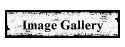 Image Gallery