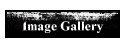 Image Gallery
