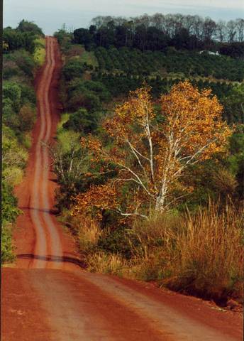 MISIONES_1.jpg (32866 bytes)