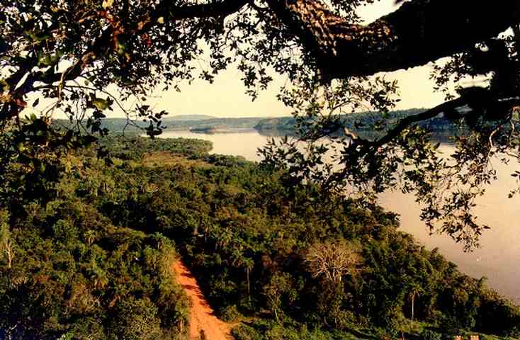 MISIONES_4.jpg (53651 bytes)