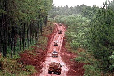 MISIONES_6.jpg (39162 bytes)