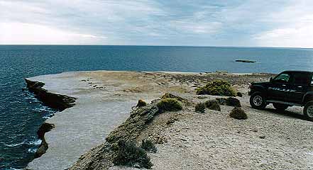 Pardelas_1.JPG (28928 bytes)