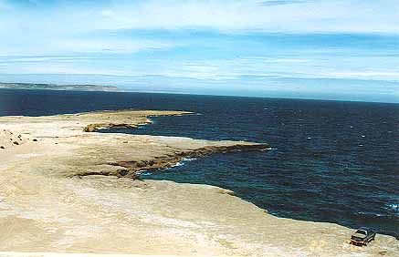 Pardelas_5.JPG (22237 bytes)