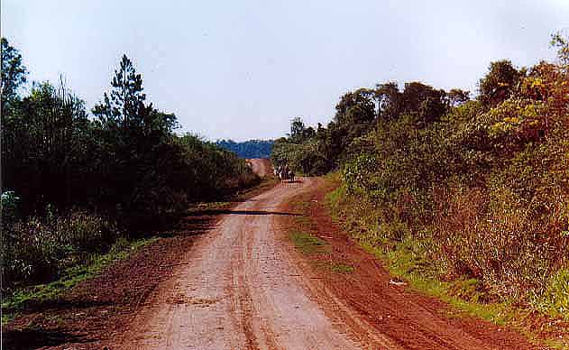 Sin2.jpg (47782 bytes)