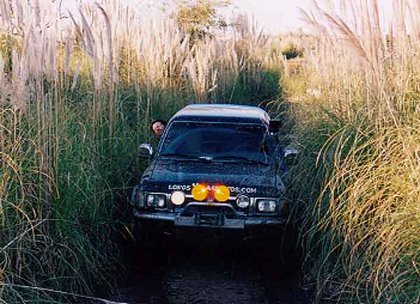 circ_4x4_6.jpg (45257 bytes)