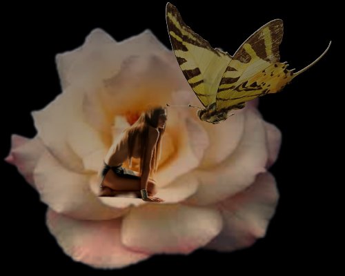 Btflyhead.jpg - 22329 Bytes