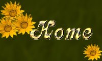 Sunflowerhome.jpg - 7238 Bytes