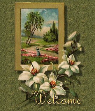 Windowfloralwelcome.jpg - 40287 Bytes
