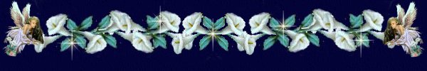 dulcepoesiatop.jpg - 18834 Bytes