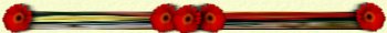 flower10bar2.jpg - 4402 Bytes