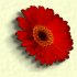 flower10dot.jpg - 2156 Bytes
