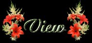 popyview.jpg - 6376 Bytes