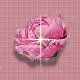 ramodot.jpg - 2531 Bytes