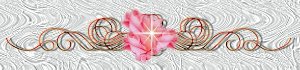 rosenfanbar1.jpg - 10573 Bytes
