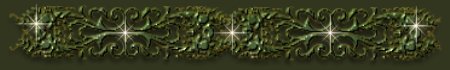 sealoverstop.jpg - 10021 Bytes