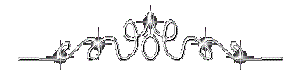 silverbar3.gif - 3149 Bytes