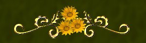 sunflowerbar2.jpg - 7541 Bytes