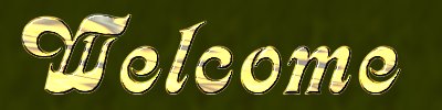 sunflowerwelcome.jpg - 12026 Bytes
