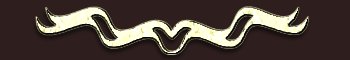 thunderbar1.jpg - 5521 Bytes