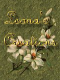 windowflorallogo.jpg - 8508 Bytes