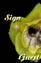 yellowrosebordersign.jpg - 6326 Bytes