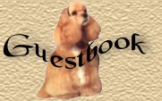 guestbook