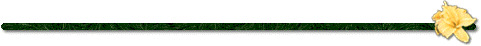 Bar.gif (4432 bytes)