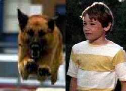 Katts and Dog starring Andrew Bednarski as Stevie Katts