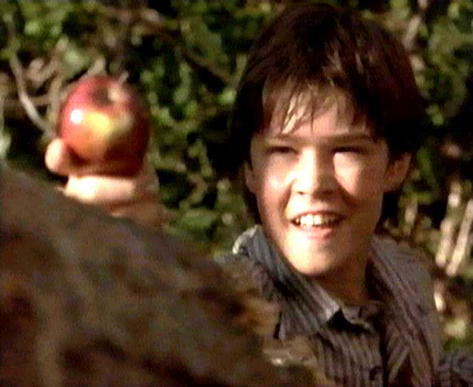 He's the star of Lassie and Summer of the Monkeys