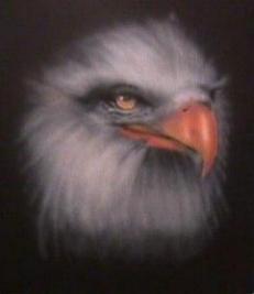 Eagle Illustration