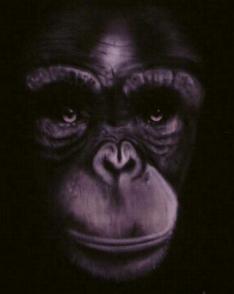 Shirt with Ape Face