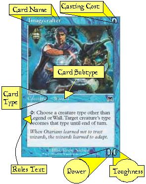 A basic Magic card.