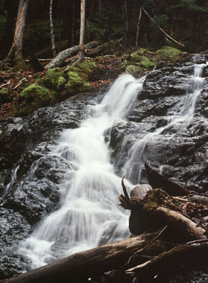 cascade